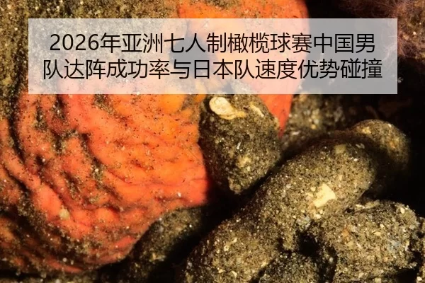nian-ya-zhou-qi-ren-zhi-gan-lan-qiu-sai-zhong-guo-nan-dui-da-zhen-cheng-gong-lv-yu-ri-ben-dui-su-du-you-shi-peng-zhuang-2-117.jpg
